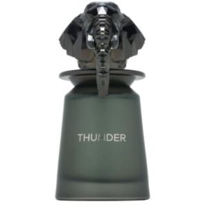 عطر فرينش افينيو ثاندر او دو برفيوم 100مل