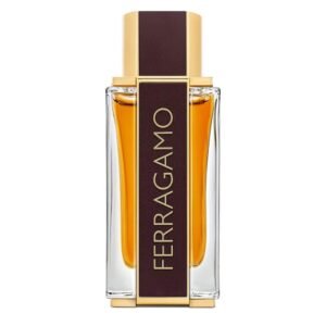 عطر سلفاتور فيرغامو سبايسي ليذر سبيشال ايديشن بارفيوم  100مل